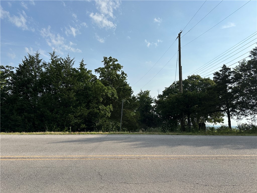 Discover the potential of this 0.25 acre m/l wooded lot located just outside the city limits of Flippin, AR. With both water and electric on site, this property offers a great head start for your next project. Whether you're looking to build a home, place a mobile, or start a small business, this unrestricted parcel gives you the flexibility to do it your way. No city restrictions or zoning headaches-just a quiet, accessible location close to town amenities. Septic will be needed. A rare find with residential or commercial possibilities!