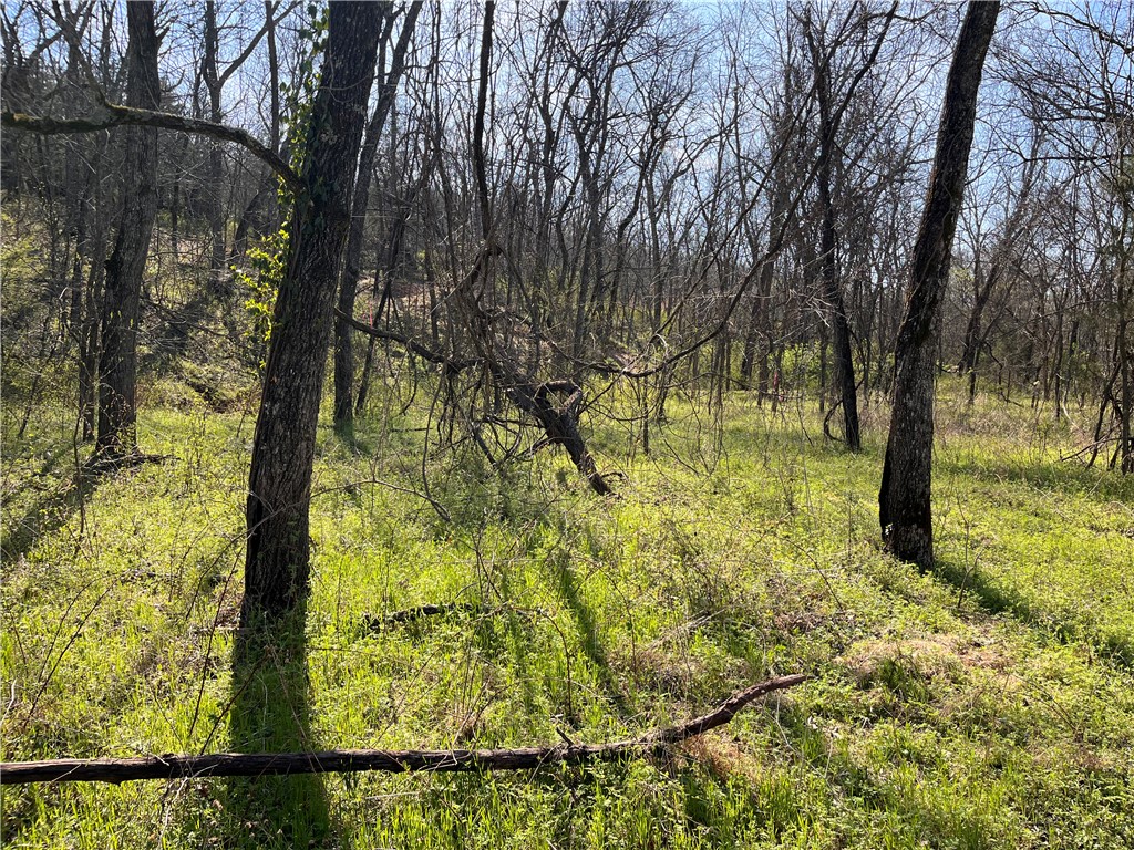 Surrey Sub Bvv - Land