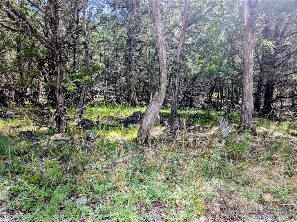 Unit 117 Holiday Island - Land