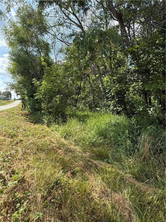 Build your dream home just outside Alpena, Arkansas on this beautiful 3-acre wooded lot located on Dunkard Road. With paved road frontage, public water, and electric available at the road, this property is ready for your vision.
The land features mature hardwoods, a gently rolling terrain, and several level building spotsāoffering both versatility and privacy. Whether youāre looking to create a private getaway or full-time residence, this peaceful setting provides a quiet escape while still being conveniently located to town.