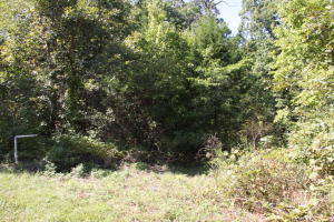 SW Boone rural water on site. Older 12'x52' mobile home. All wooded. 16.44 acre parcel.