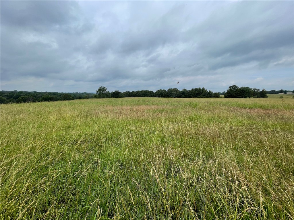 20 prime acres to build your dream home.
Electric located at the highway and City Water is located on the other side of the highway. Pasture and hay field along with 1 nice pond and mature trees. Excellent building sites.