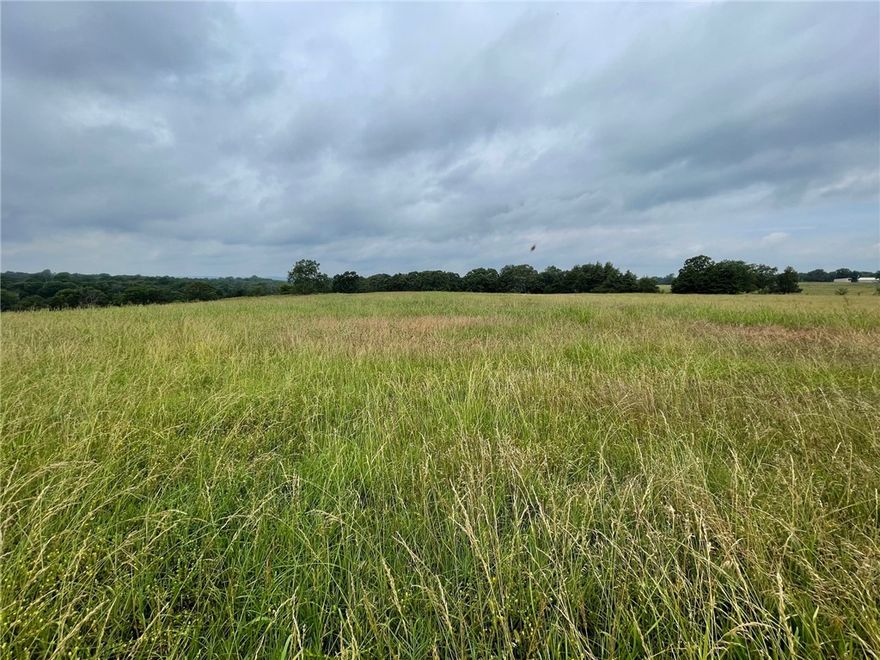 20 prime acres to build your dream home.
Electric located at the highway and City Water is located on the other side of the highway. Pasture and hay field along with 1 nice pond and mature trees. Excellent building sites.