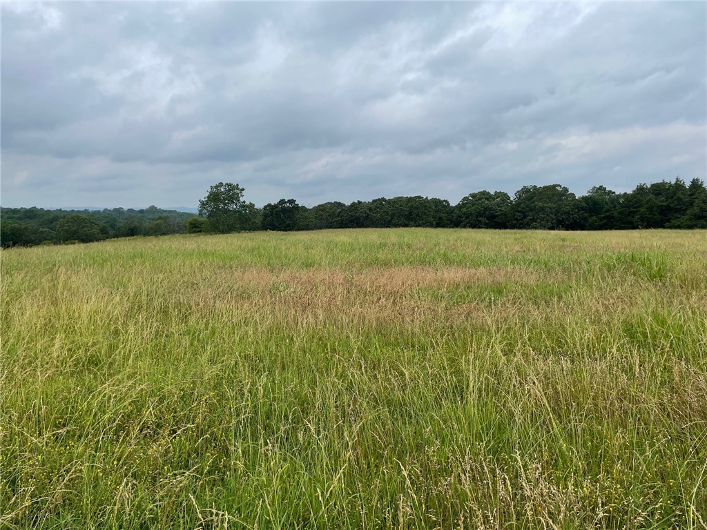 20 prime acres to build your dream home.
Electric located at the highway and City Water is located on the other side of the highway. Pasture and hay field along with 1 nice pond and mature trees. Excellent building sites.