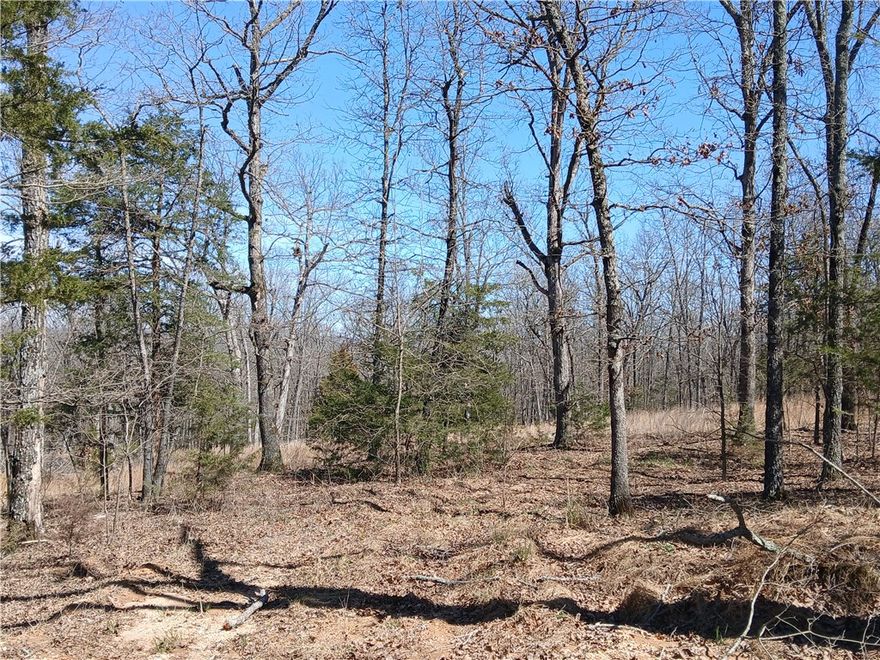 Endless possibilities with several awesome building sites on Lot #3 - 9.053 acres in Cloud 9 subdivision offers minimal covenants and building restrictions. Wooded lots offer noise buffer while maintaining a sense of privacy. Majority of the established neighbors are at the top of the hill. Seller believes that that the city water could be brought from the highway frontage on this lot. Bring your building plans and binoculars, the wild life sightings are plentiful. Gas and grocery conveniences are 4 miles away and its less than 15 minutes to downtown Huntsville, 35 Minutes to Springdale.