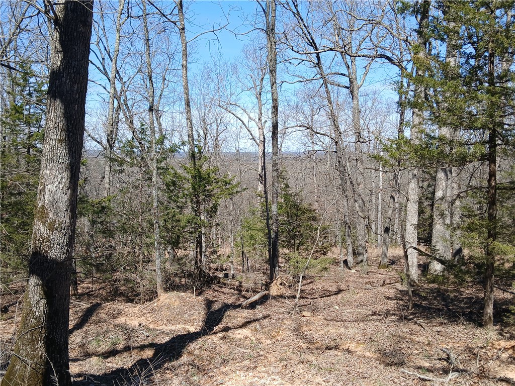 Cloud 9 Sky High Ranches Rep - Land