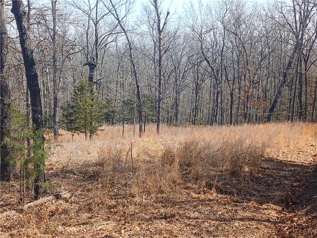 Cloud 9 Sky High Ranches Rep - Land