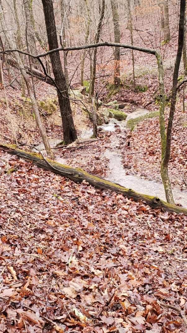 Timber Lake Estates - Land