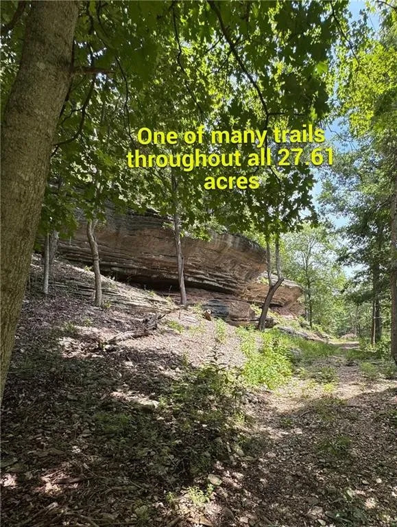 Timber Lake Estates - Land