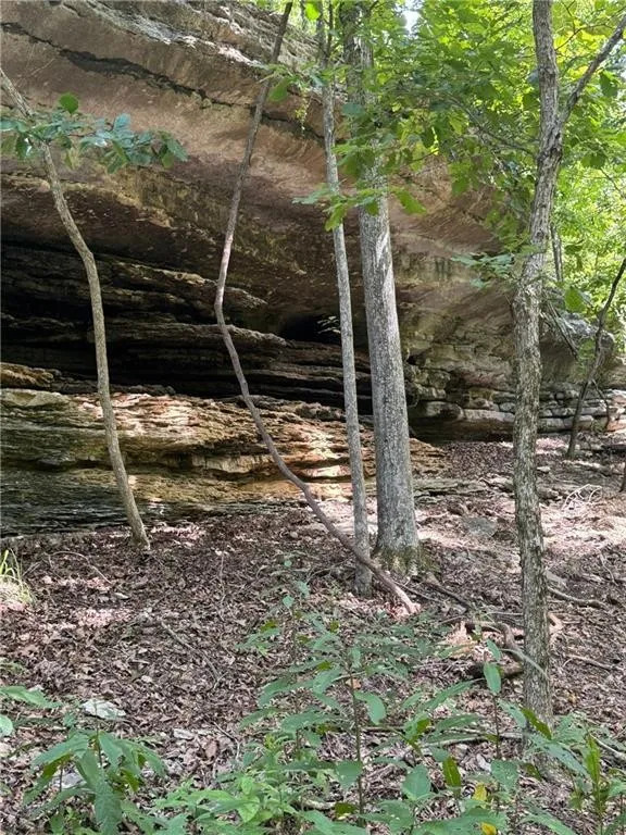 Timber Lake Estates - Land