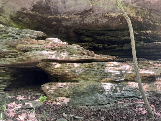 Timber Lake Estates - Land