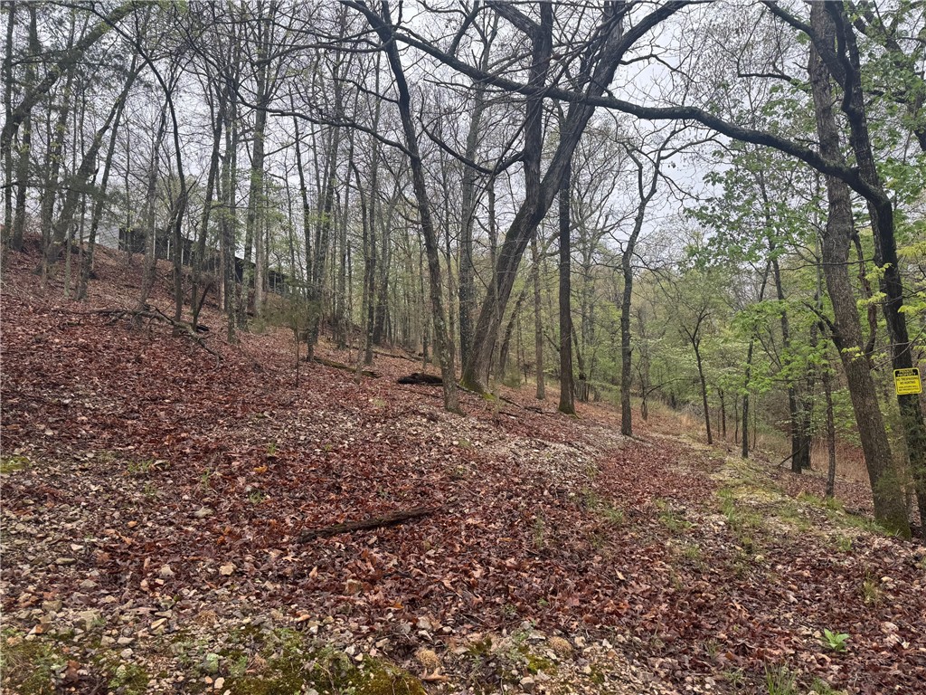 Timber Lake Estates - Land