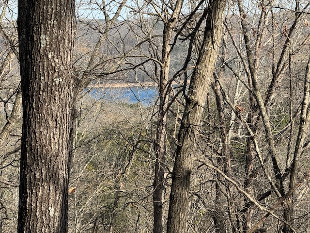 Timber Lake Estates - Land