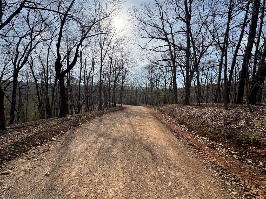 Timber Lake Estates - Land