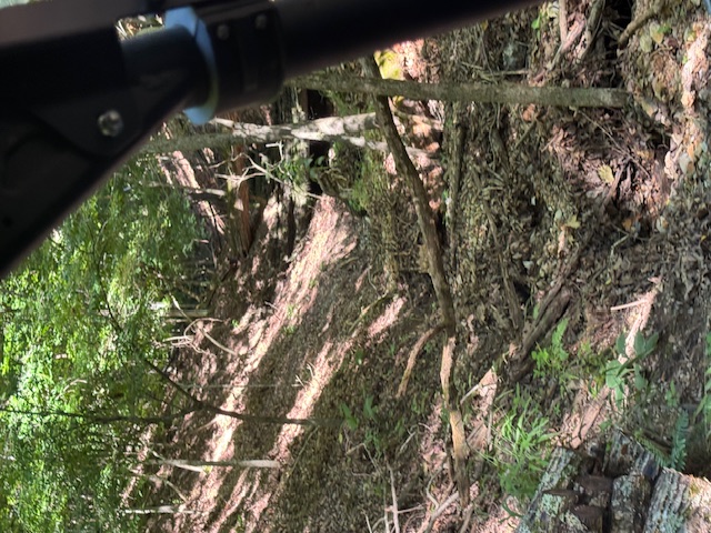 Timber Lake Estates - Land