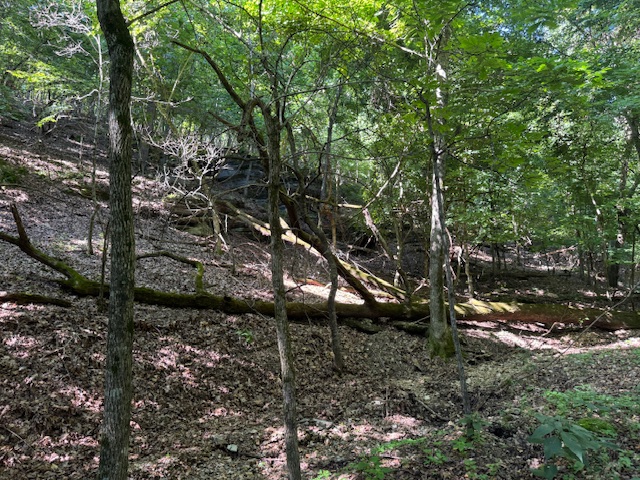 Timber Lake Estates - Land