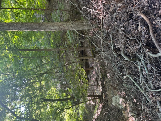 Timber Lake Estates - Land