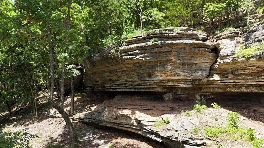 Timber Lake Estates - Land