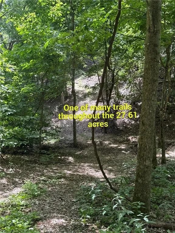 Timber Lake Estates - Land