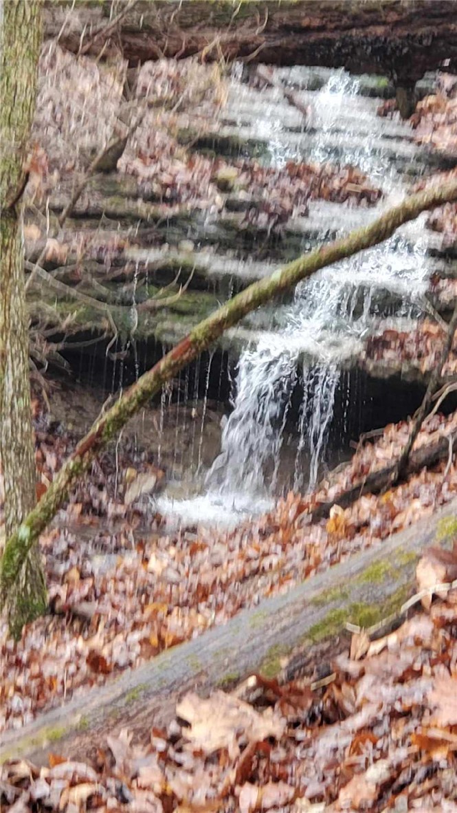 Timber Lake Estates - Land