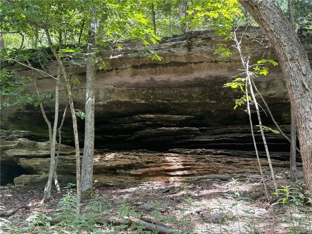 Timber Lake Estates - Land