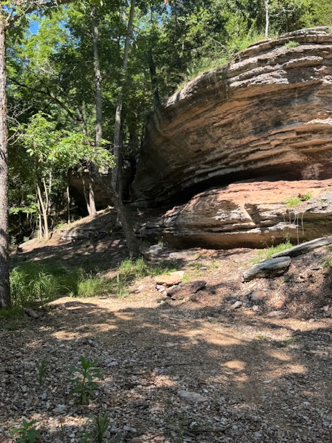 Timber Lake Estates - Land