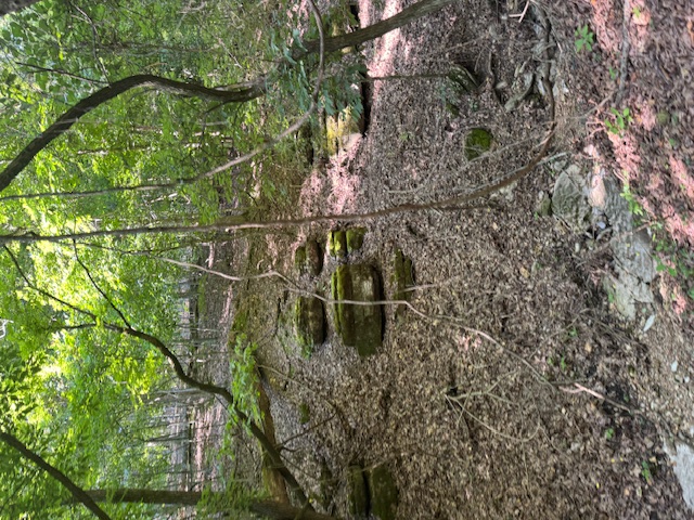 Timber Lake Estates - Land