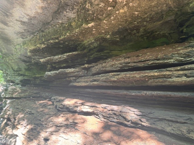 Timber Lake Estates - Land