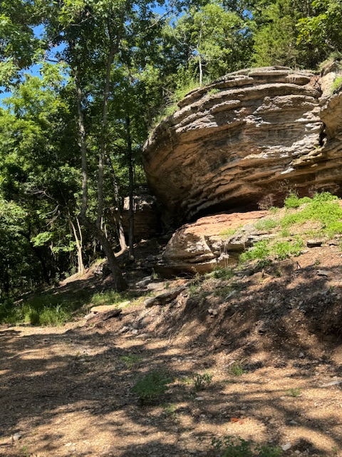 Timber Lake Estates - Land