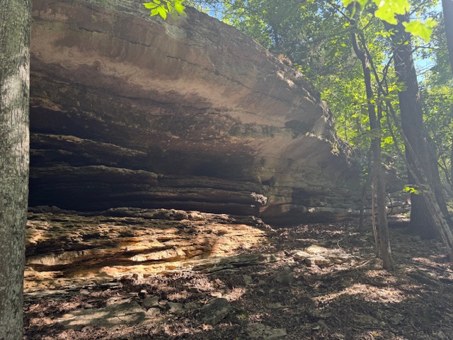 Timber Lake Estates - Land