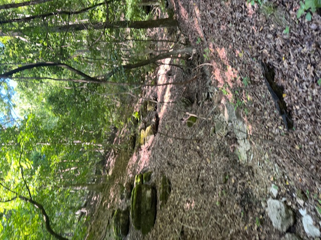 Timber Lake Estates - Land