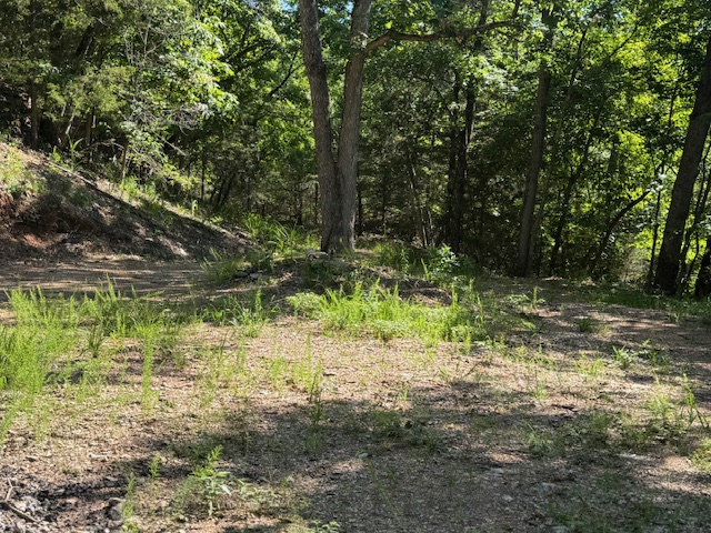 Timber Lake Estates - Land