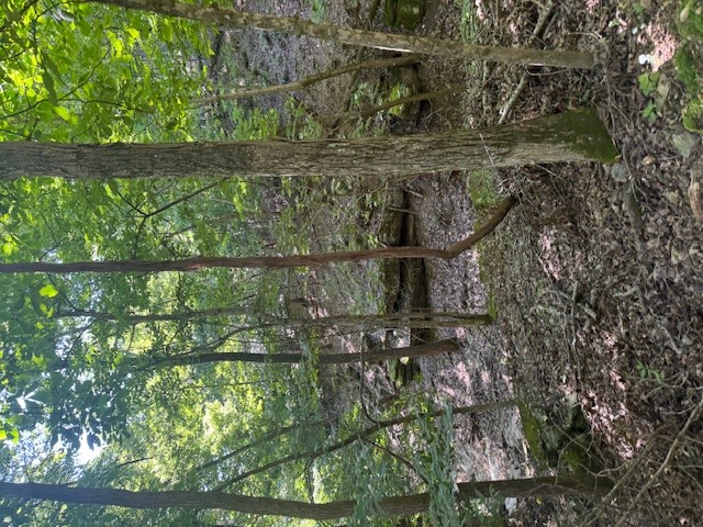 Timber Lake Estates - Land