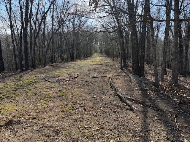 Timber Lake Estates - Land