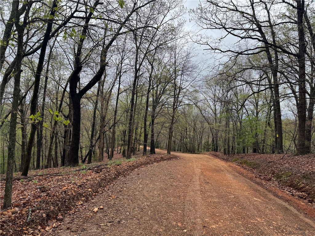 Timber Lake Estates - Land