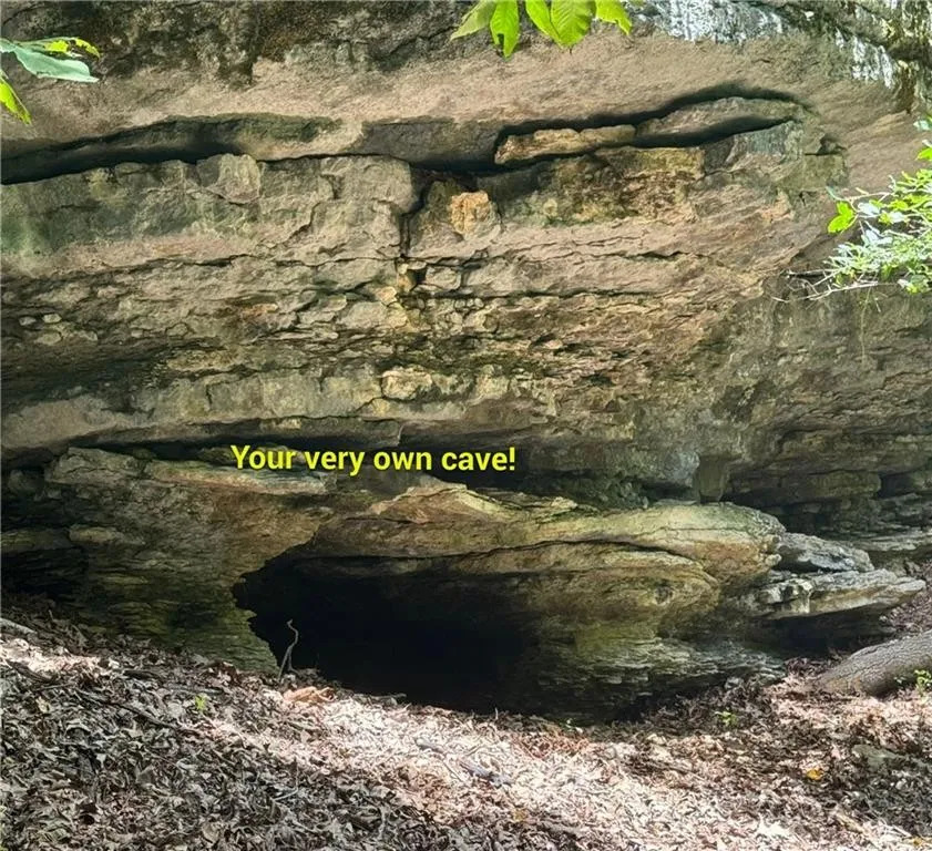 Timber Lake Estates - Land