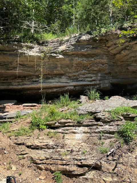 Timber Lake Estates - Land