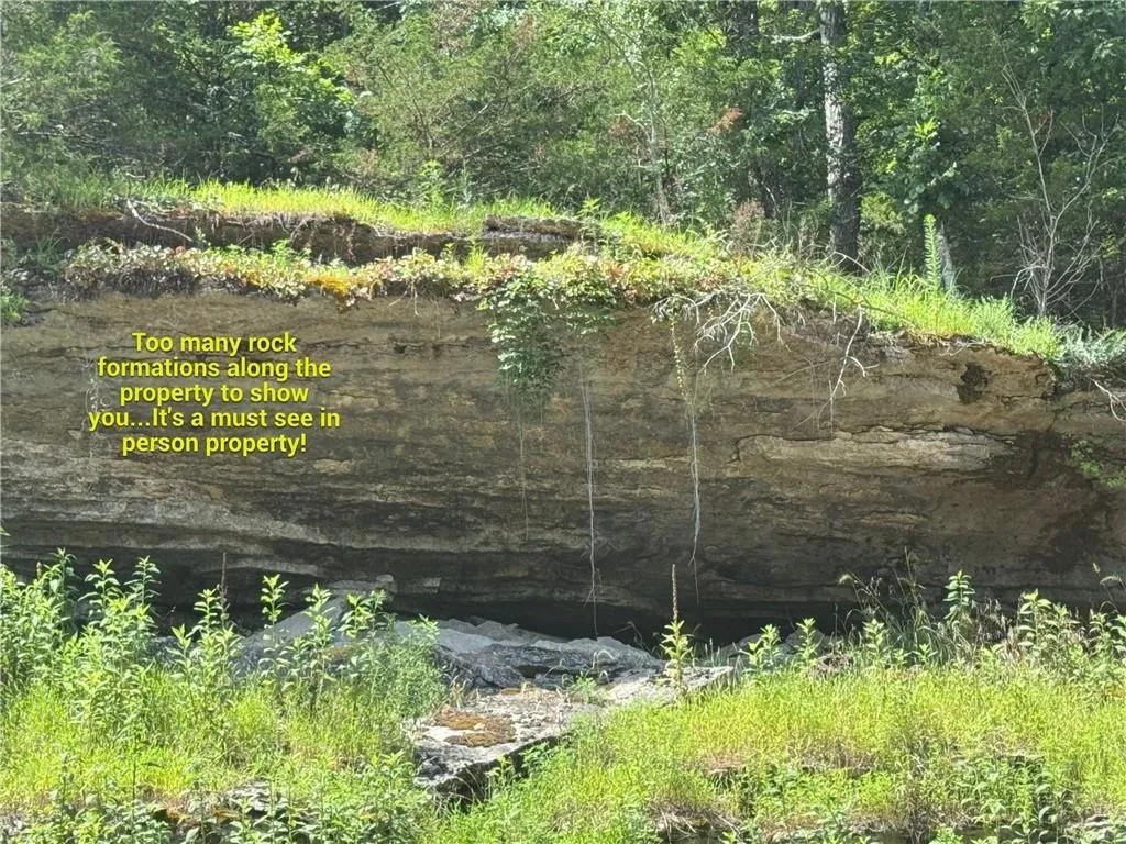 Timber Lake Estates - Land