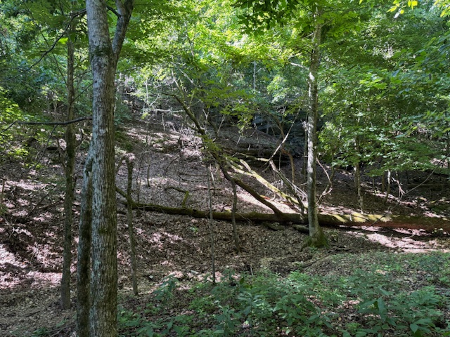 Timber Lake Estates - Land