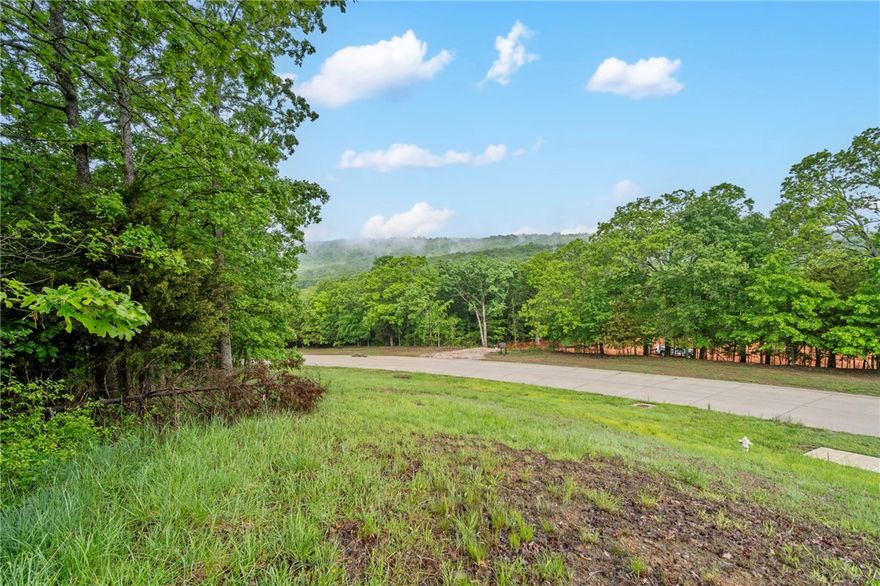 One of the last undeveloped lots in east Fayetteville Stone Mountain Subdivision.  Perfect building site with incredible sunset views.  Conveniently located to shopping, dining, recreation and schools.  The lot is .70 acres MOL.  Water, electric & sewer available at street.