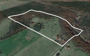 Absolutely gorgeous 80 acres - mostly fenced pasture, but with some timber and on the Illinois Bayou. Come out and take a look at your new homestead, vacation cottage, hunting camp, or ranch! Use your imagination... raise some livestock... grow some crops... raise a family... :-) House needs work to make into a nice home. Don't miss this rare chance to own 80 acres of prime land at a great price!