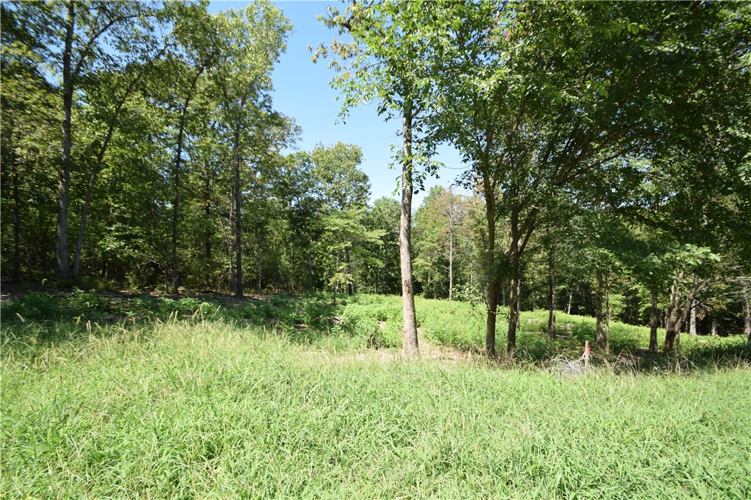 Estates At Dogwood Canyon - Residential