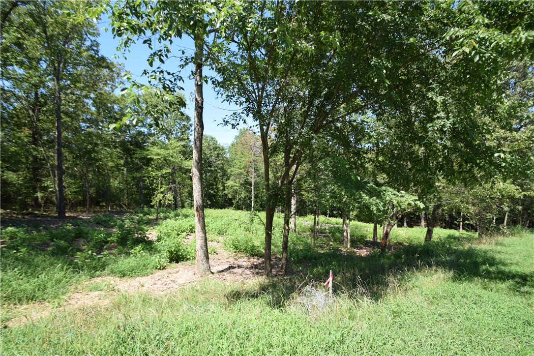 Estates At Dogwood Canyon - Residential