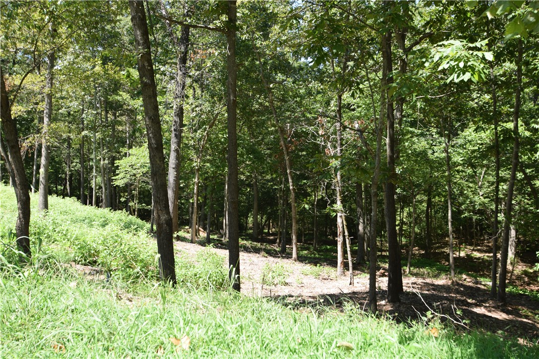 Estates At Dogwood Canyon - Residential