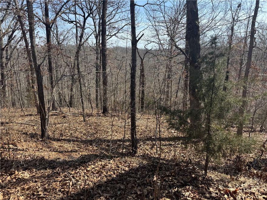 Lots is in the private area of South West Bella Vista. If you are looking for less neighbors and more nature, check out this lot near the Chelsea Trailhead of Tunnel Vision Mountain Bike Trail and Lake Windsor. Perc Test available for a 3 bedroom home.
