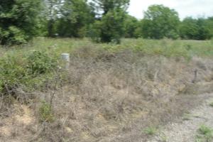 Mobile Home Lots! 2 septic systems, city water on one and is available for the other through KnoxvilleWater. Owner would consider Owner Finance with half down and less than 5 year term. Owner is brush hogging the lots.