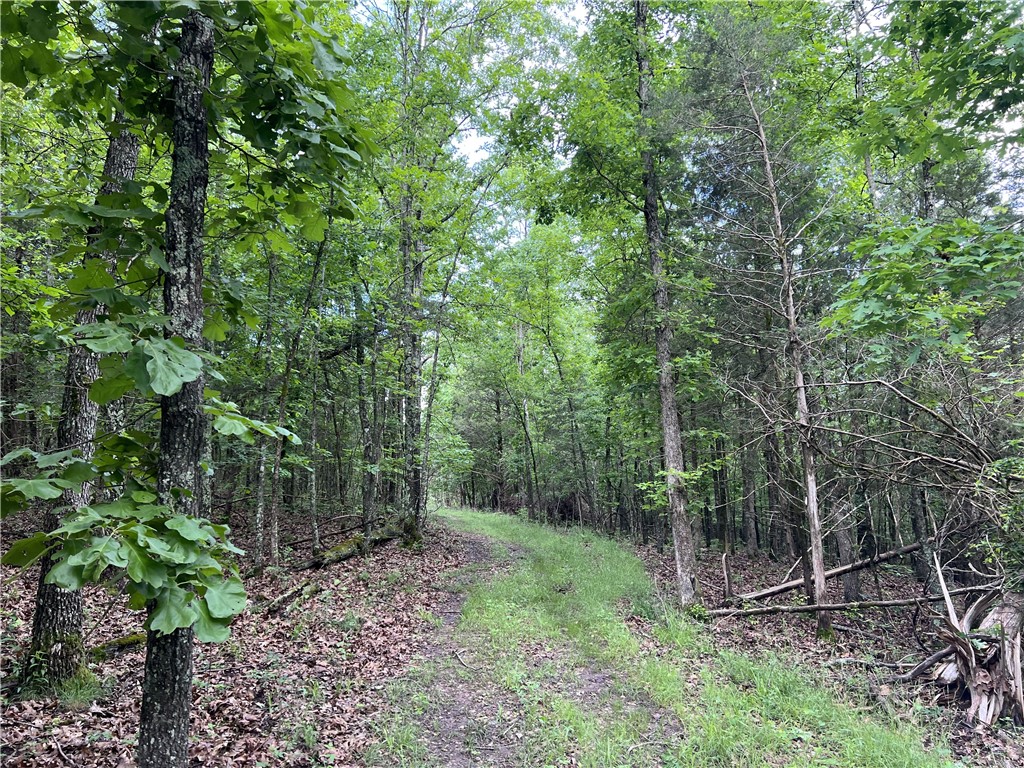WOW!! Come take a look at this 14.94 acres that has a small creek and also goes to the high bank of Bear Creek. Nice private building site with no restrictions, and with utility easements in place. This is a must see for on grid or off grid living.
