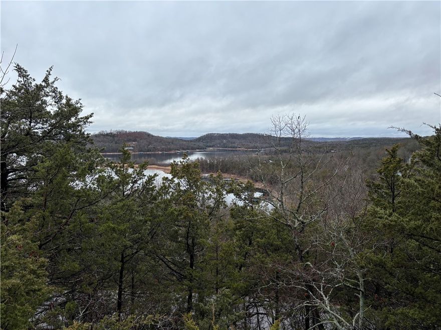 Beautiful lot that overlooks beaver lake. Will make someone a great spot for a forever home or a lake house. There is a boat put-in a minute away from the lot. Very clean neighborhood with paved streets. Water and sewer at the street.