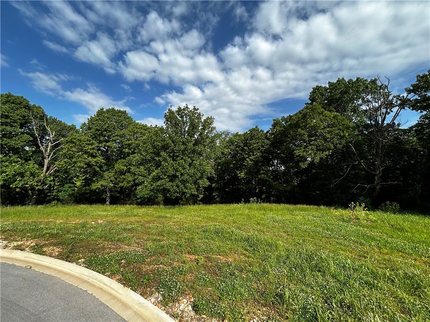 Rare opportunity to build in the established Tall Tree Addition Ph. II subdivision in Avoca, AR — right in the heart of Northwest Arkansas. Lot #15 Red Cedar Place offers just over 1 acre of open land with all the hard work already done. Water, electricity, and natural gas are on site, and city sewer is available, making this a truly build-ready opportunity. No manufactured homes allowed, ensuring the character and quality of the neighborhood are preserved. Whether you're a custom home builder, investor, or buyer ready to plant roots in NWA, this lot is the perfect blank canvas. With all utilities in place and easy access to the shops, trails, schools, and employers that make Northwest Arkansas one of the fastest-growing regions in the country — this one won't last long. Go and show!