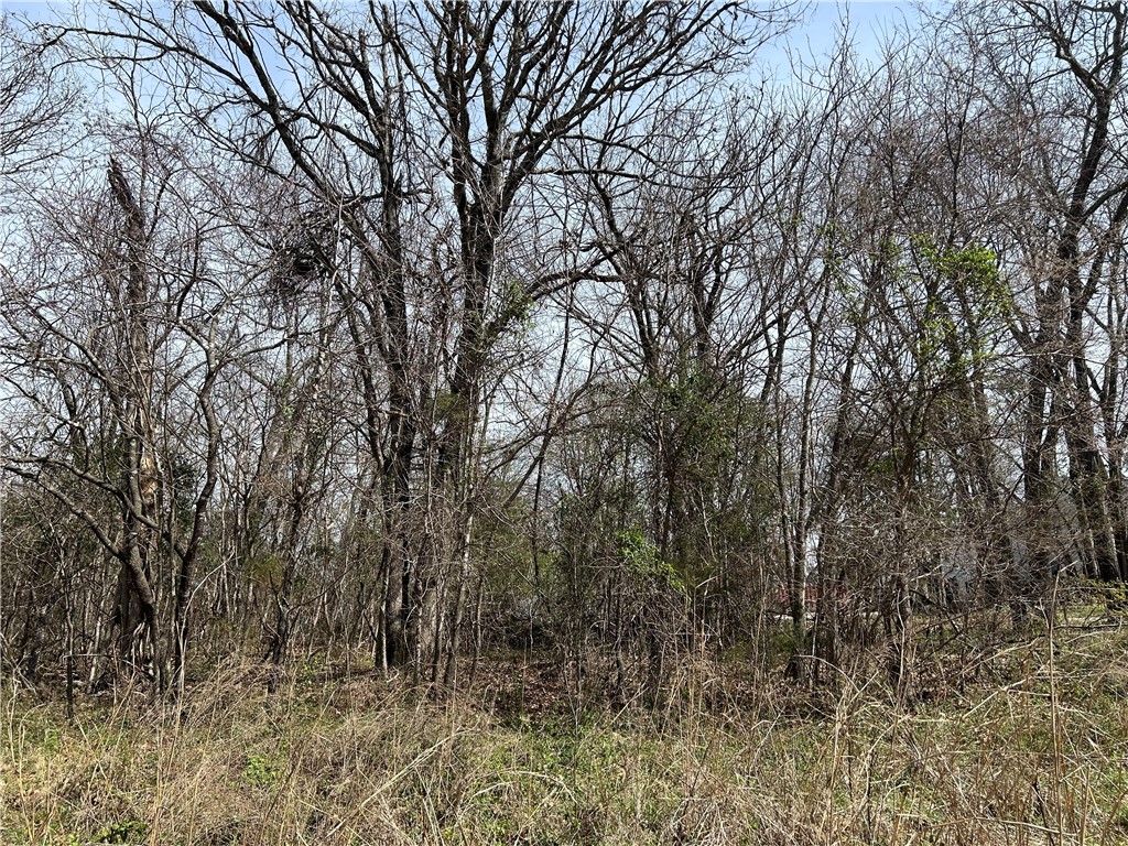 Hickory Heights - Land